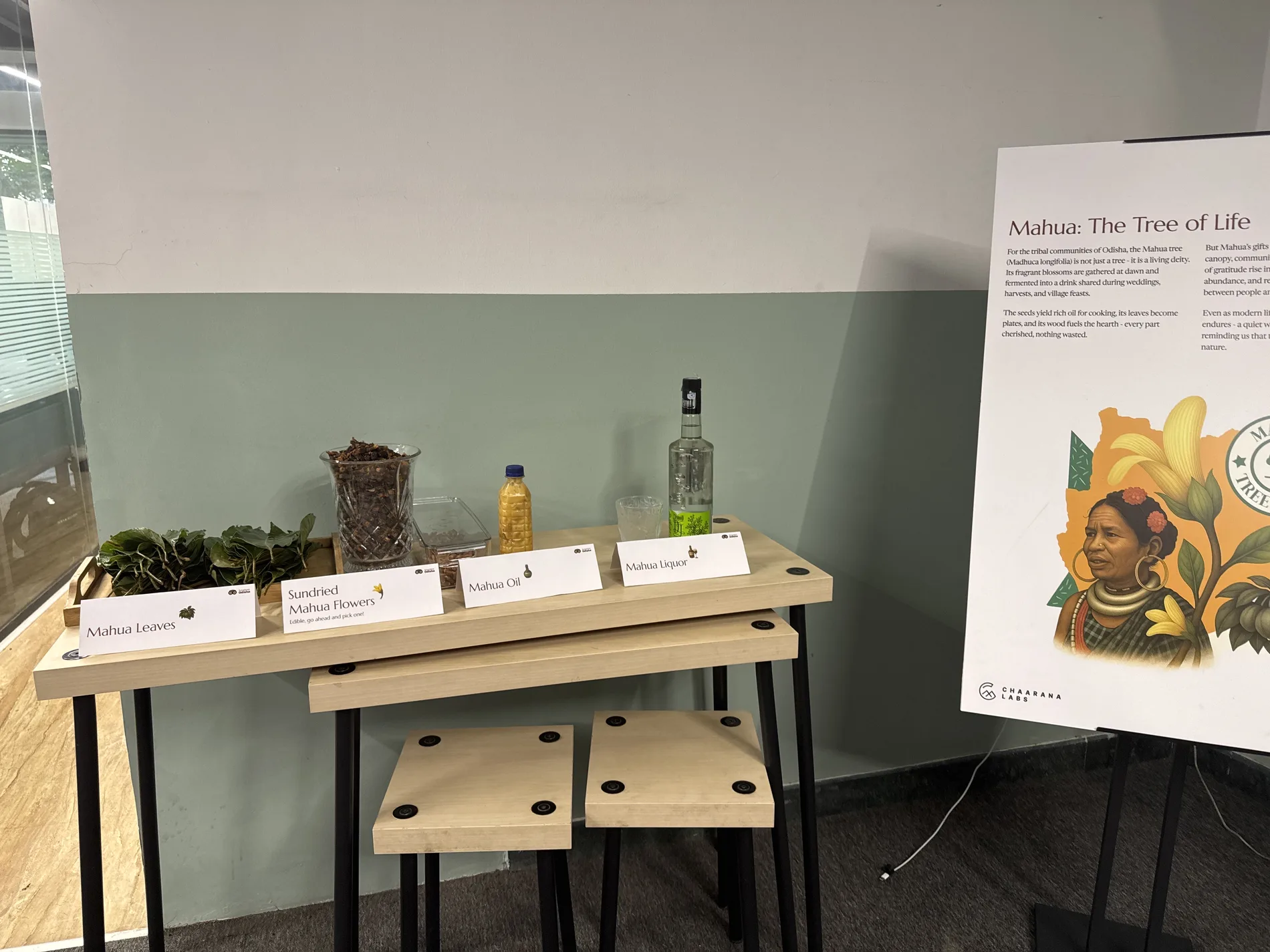 Mahua leaves, sundried mahua flowers, mahua oil, and mahua liquor on display at Culture Lab