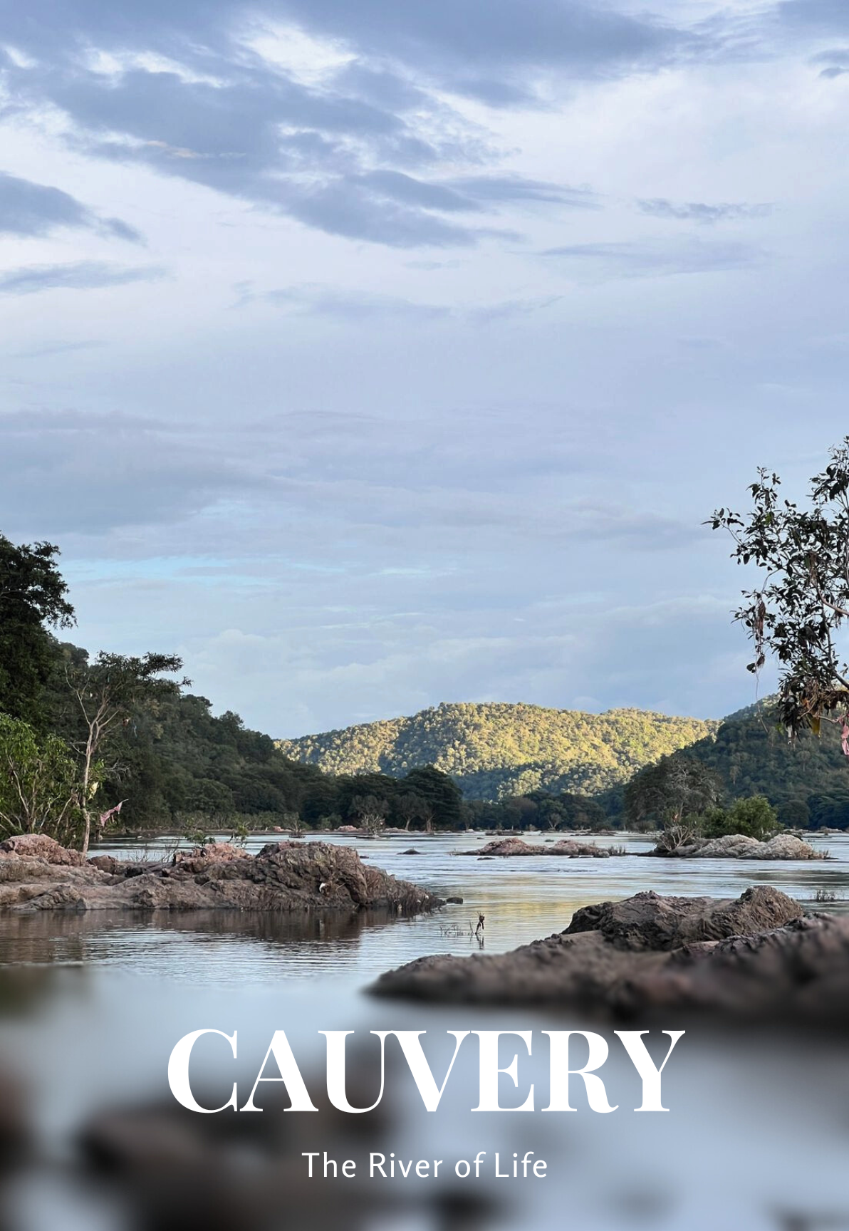 Cauvery