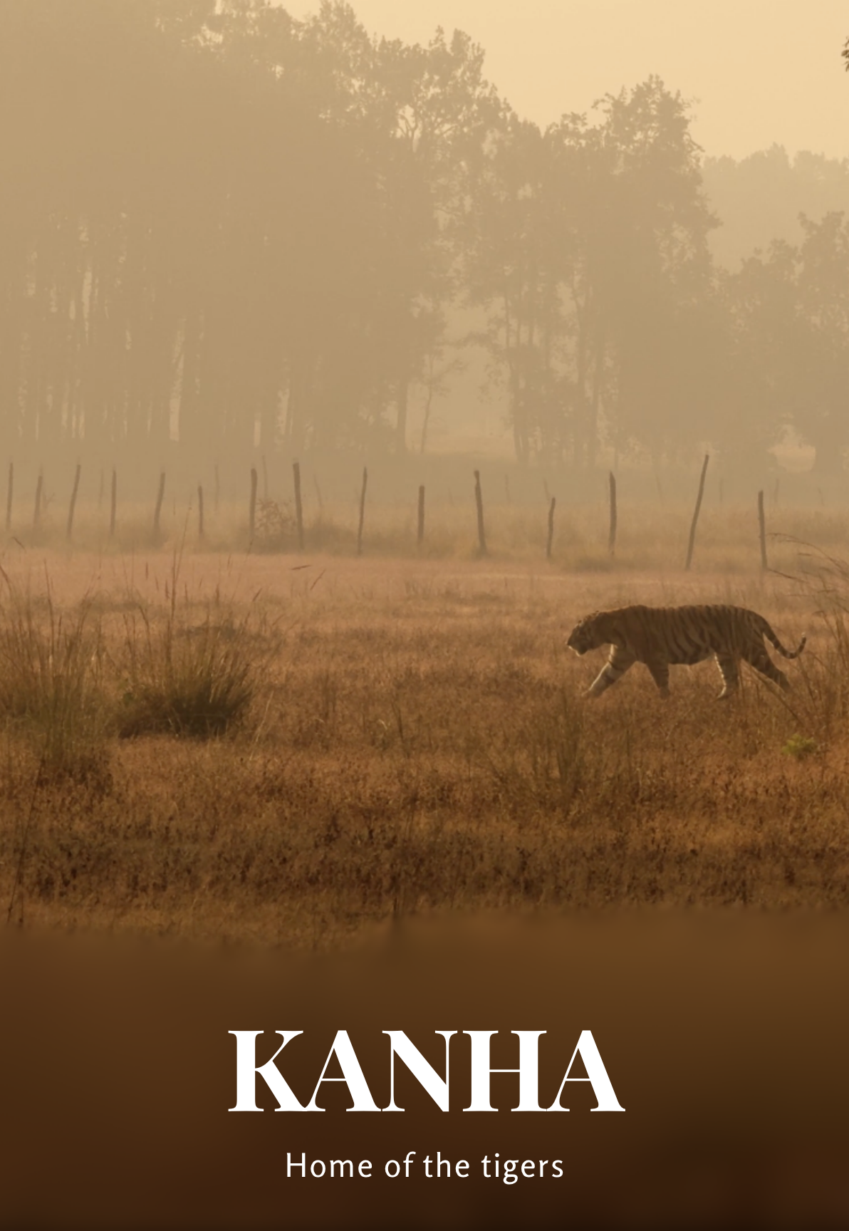 Kanha — Home of the Tigers