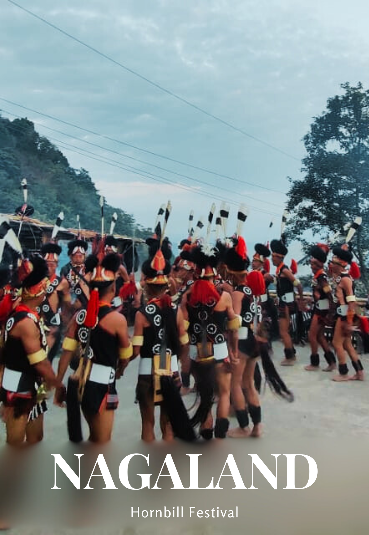 Nagaland's Hornbill Festival