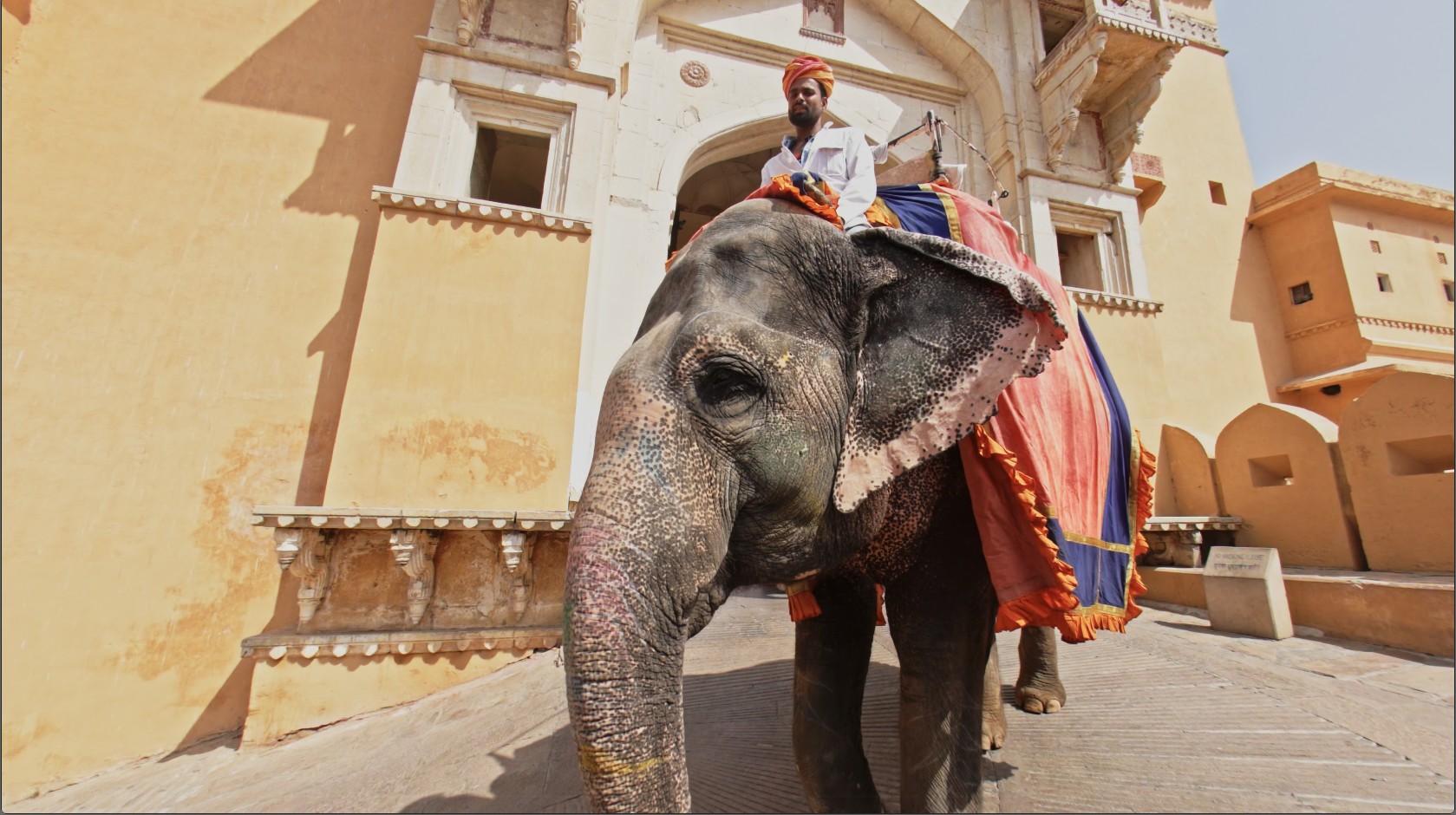 A mahout riding a decorated elephant at Amer Fort, Rajasthan, captured for Immersive India