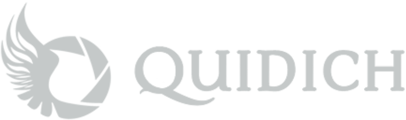 Quidich