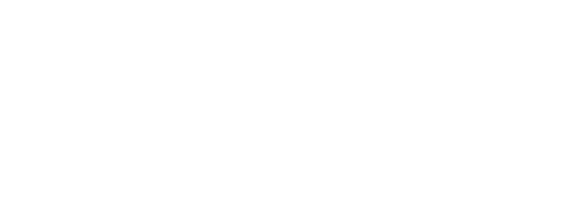 Skyline Story Lab logo